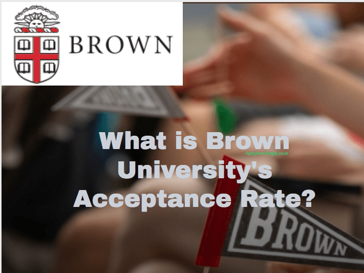 What is Brown University's Acceptance Rate? TVET Colleges